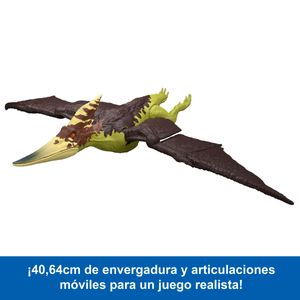 190694_C.JPG