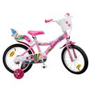 Fantasia-Bicicleta-16--