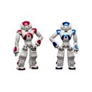 Nao-Robot-Programming-Curso-V5--