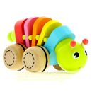 Gusanito-Arrastre-de-Madera