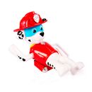 Figura-patrulha-Canina-Marshall-banho