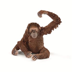 Figura-orangotango-femea