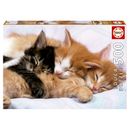 Puzzle-Gatinhos-Dormindo-de-500-Pecas