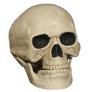 Accesorios-Halloween-Calavera