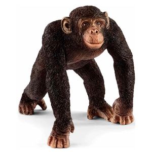Figura-chimpanze-masculino