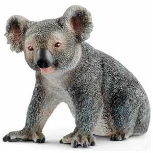 Figura-Koala-masculino