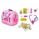 Caozinho-com-complementos-veterinario