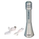 Microfono-Karaoke-de-Colores-Metalizados-Plateado