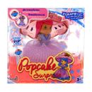Popcakes-Surpresa