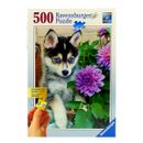Puzzle-Cachorro-Husky-en-el-Jardin-de-500-Piezas