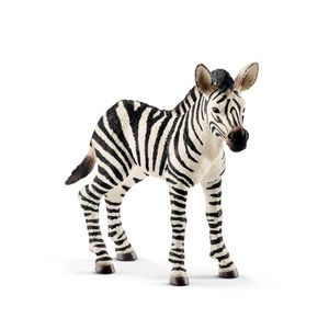 Figura-de-reproducao-da-zebra