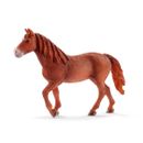 Figura-do-Mare-Morgan