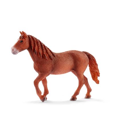 Figura-do-Mare-Morgan