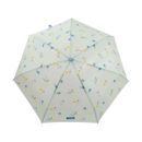 Paraguaries-Pequeno-Arco-Iris