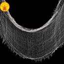 Decoracion-Tela-de-Araña-180x75-cm