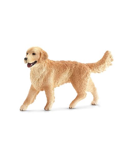 Golden-Retriever-Dog-Figure-Femme