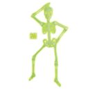 Squelette-fluorescent