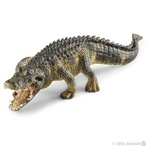 Figure-Cayman