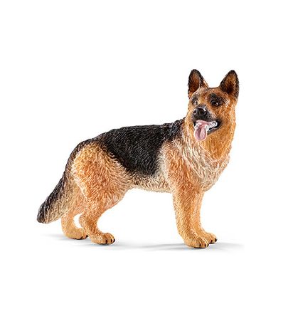 Figure-berger-allemand