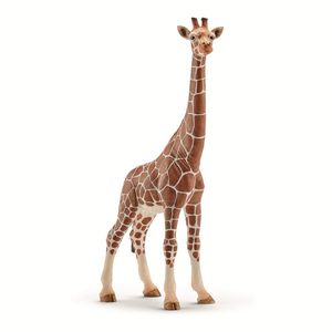 Figure-feminine-girafe