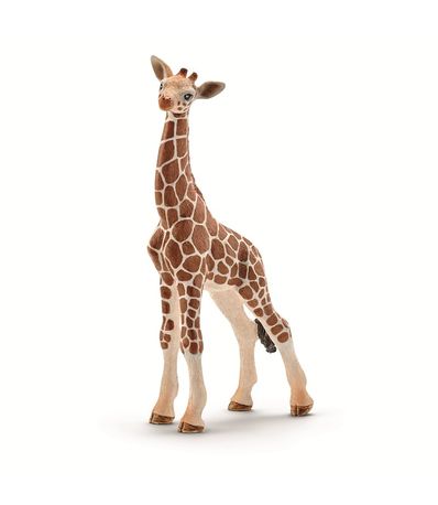 Figure-Elevage-girafe