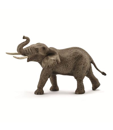 Figure-male-Elephant-d--39-Afrique