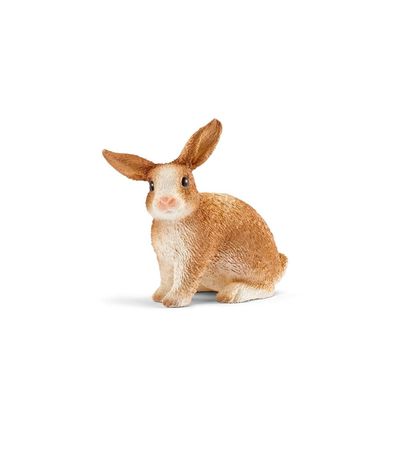 Figure-Lapin