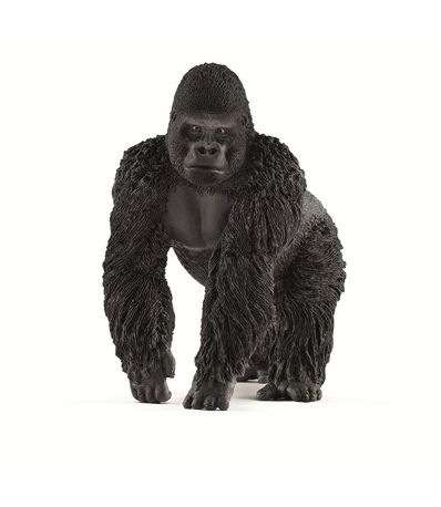Figure-Gorilla-Homme