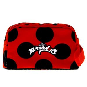 Ladybug-Portetout_1