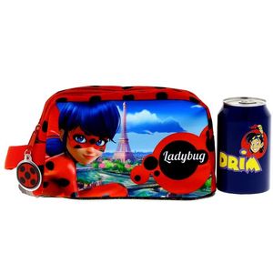 Ladybug-Portetout_3