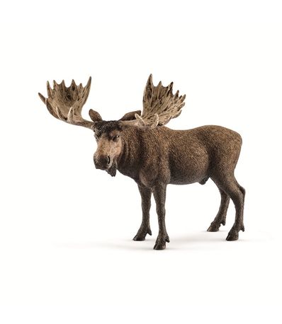 Figure-Bull-Moose