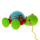 Faites-glisser-la-tortue-enfant