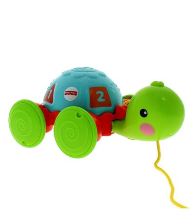Faites-glisser-la-tortue-enfant