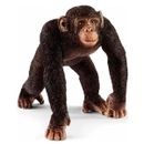 Figure-Chimp-Homme