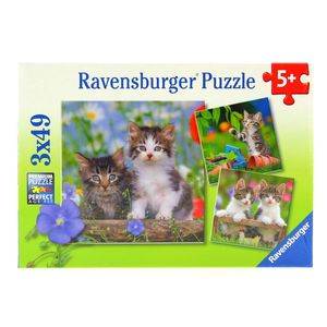 Puzzle-Tabby-Chatons-3-x-49-pieces