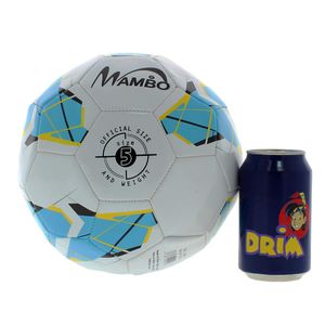 Match-de-ballon-de-football-D-220_1
