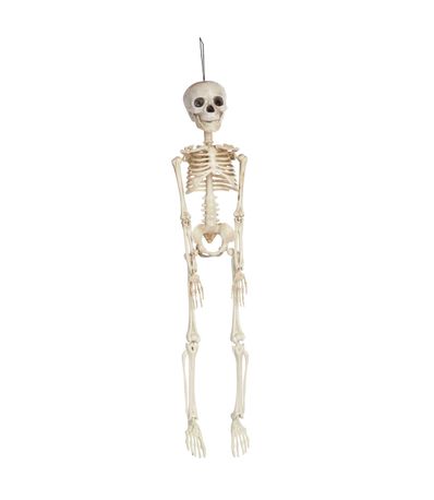 Esqueleto-Colgante-45-cm