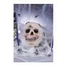 Teia-de-Aranha-Branca