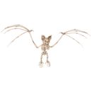 Esqueleto-Murcielago-Accesorio-Halloween