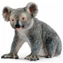 Figure-Koala-Homme