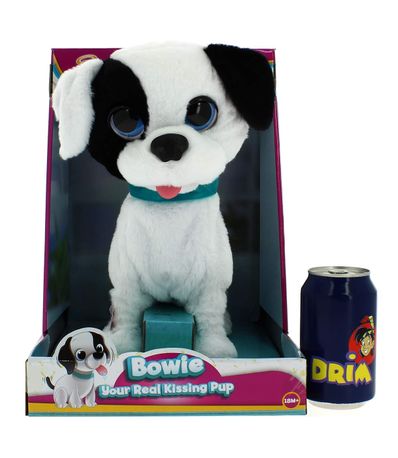 perrito bowie besitos de verdad