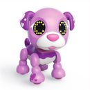 Zoomer-Zupps-Biscuit