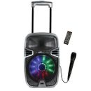 Karaoke-Trolley-con-Luz