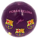 FC-Barcelona-Bola-Lila-Media