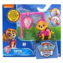 Patrol-canina-Skye-puxe-de-volta