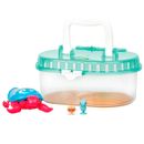 Tanque-de-animais-vivos-pouco-e-tartaruga-Molona