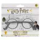 Lunettes-Harry-Potter