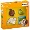 Juego-Tarjetas-de-Aprendizaje-Animales