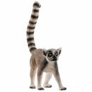 Lemure-de-cauda-anelada