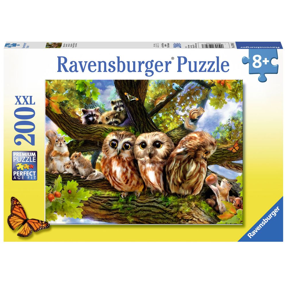 drim puzzles